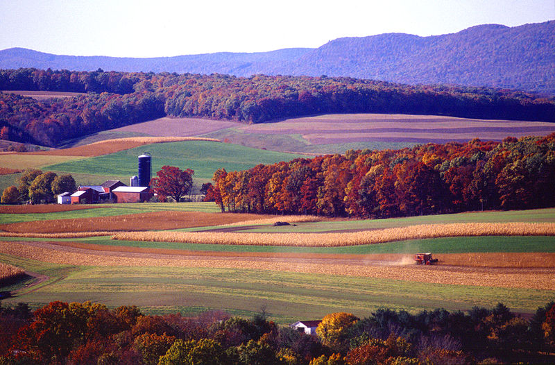 Fields in the autumn