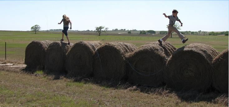 Hay jumping