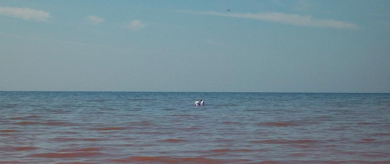 Couple in the Atlantic Ocean