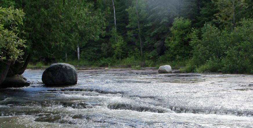 Pete's Dam Stream